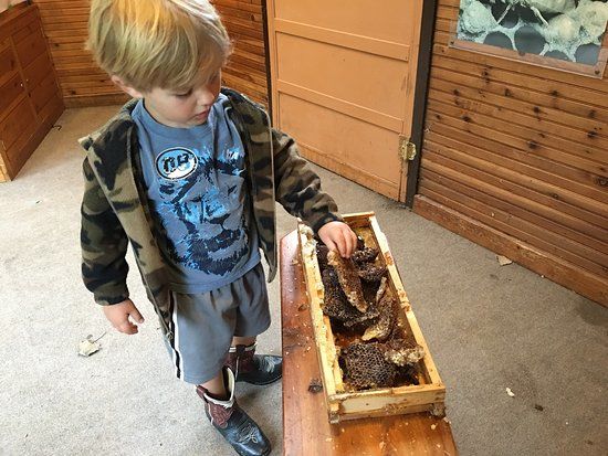 Westwood Hills Nature Reserve